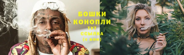 PSILOCYBIN Армянск
