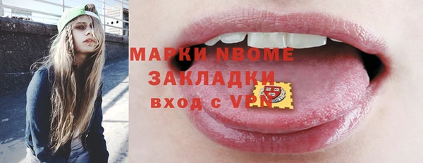шишки Аркадак