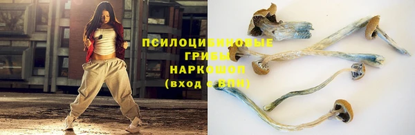 шишки Аркадак