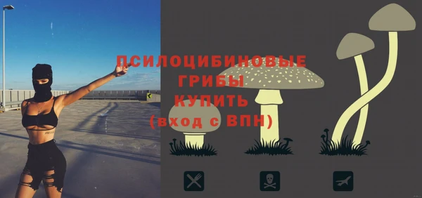 шишки Аркадак