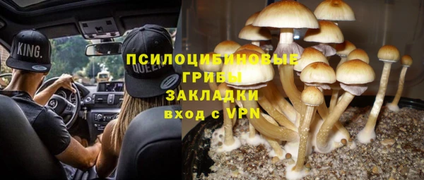 шишки Аркадак