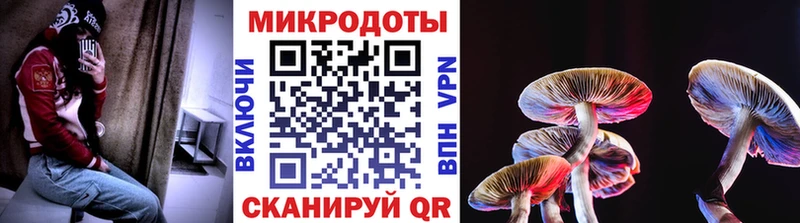 Галлюциногенные грибы Cubensis  как найти закладки  Похвистнево 